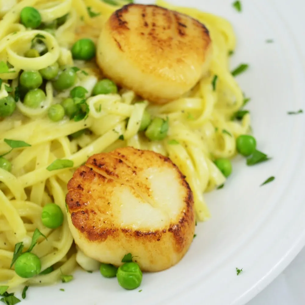 Linguine with Scallops